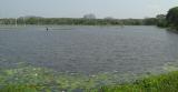 Yala National Park
